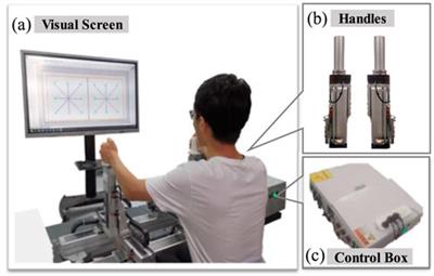 Sensing equivalent kinematics enables robot-assisted mirror rehabilitation training via a broaden learning system